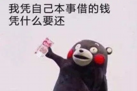 高安企业清欠服务